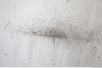 Photo Texture of Plaster Dirty 0018